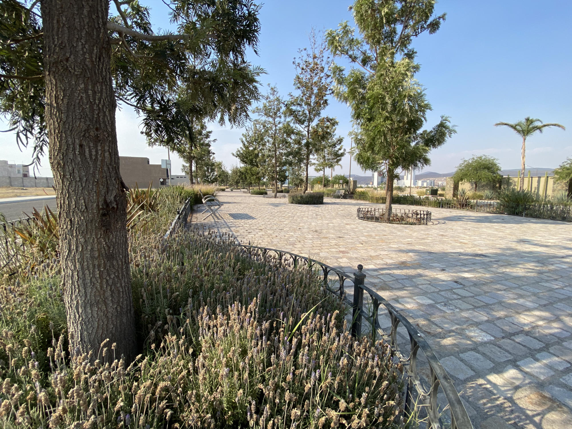 Vialidad y lotes residenciales