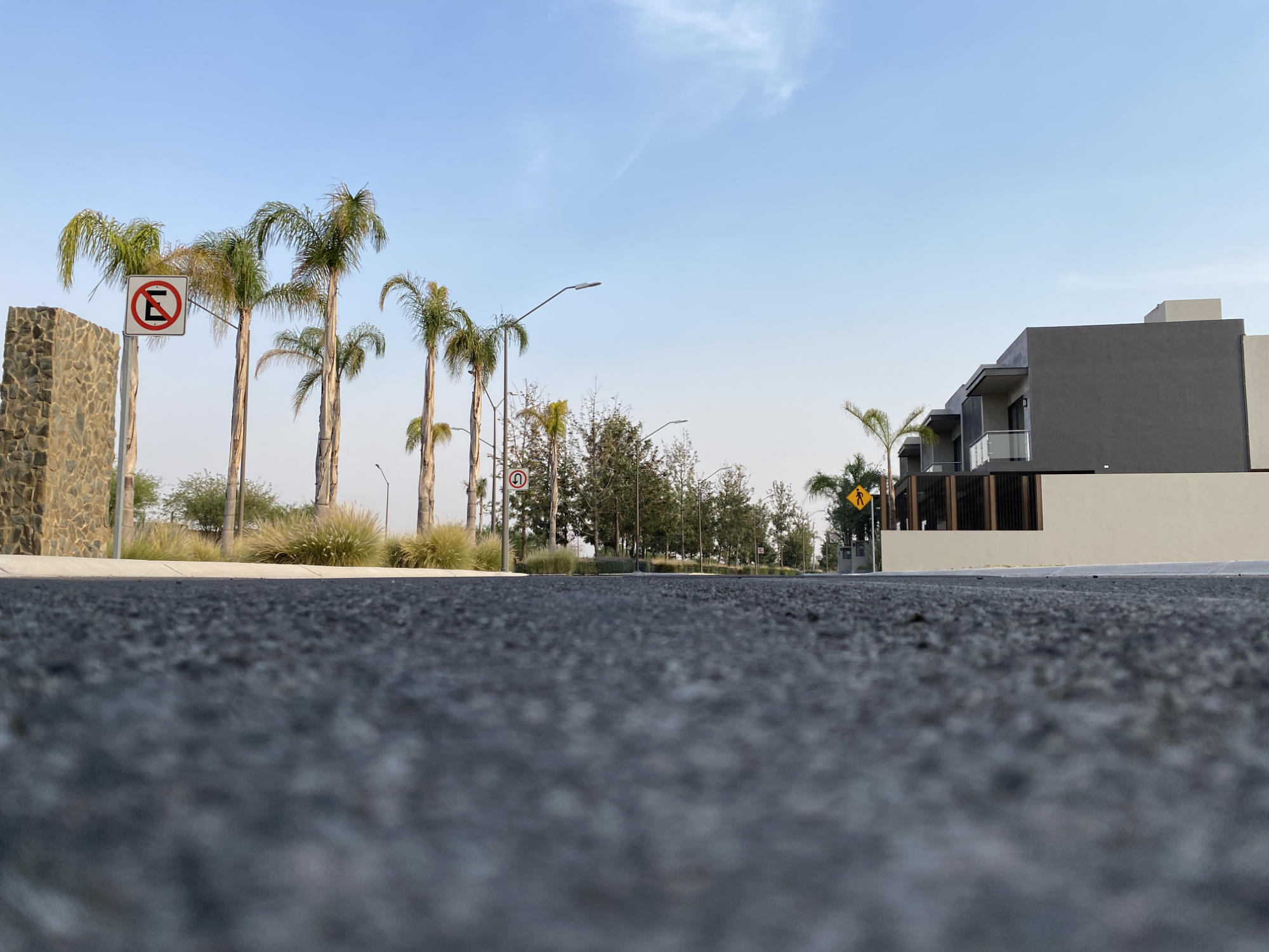 Calles arboladas en Juriquilla