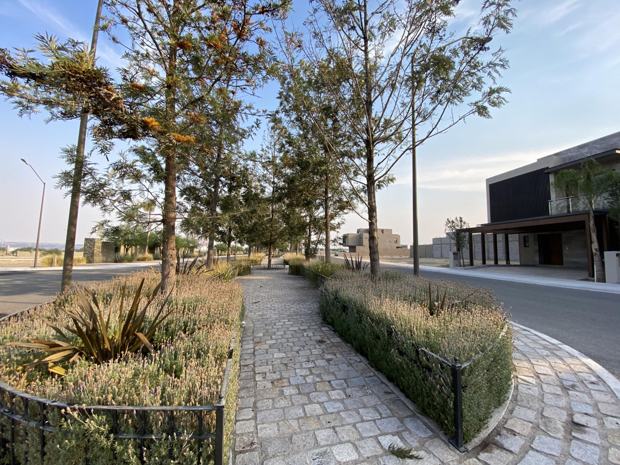 Lote Compacto Laztana