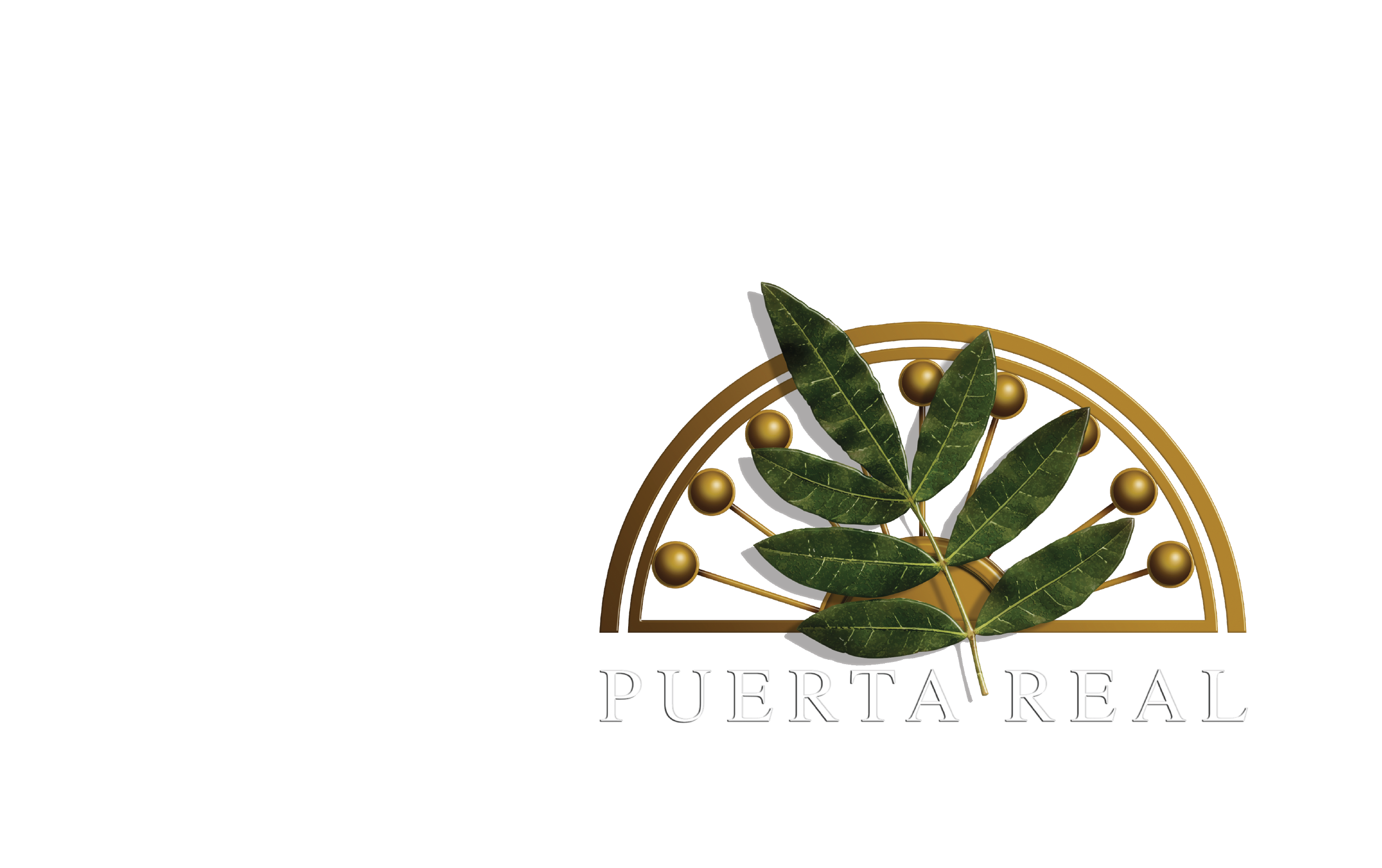 Pontevedra by Puerta Real